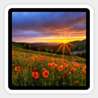 Beautiful landscap flowers and sunset Sticker